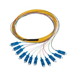 Bunched Patchcord