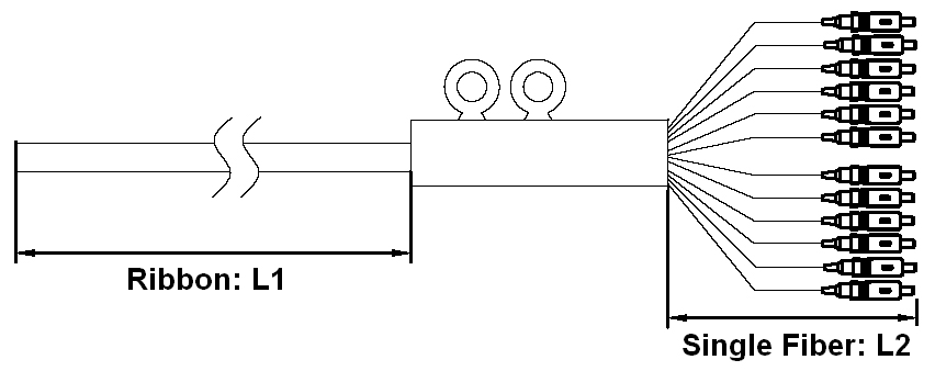Ribbon Fanout Fiber Optic Pigtaill - Detailed picture