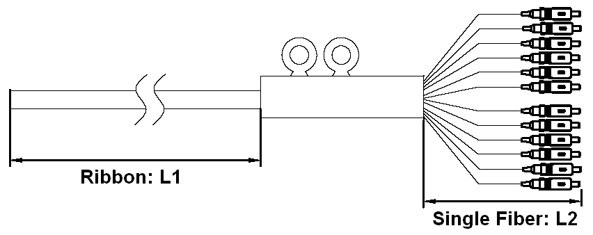 ribbon pigtail diagram